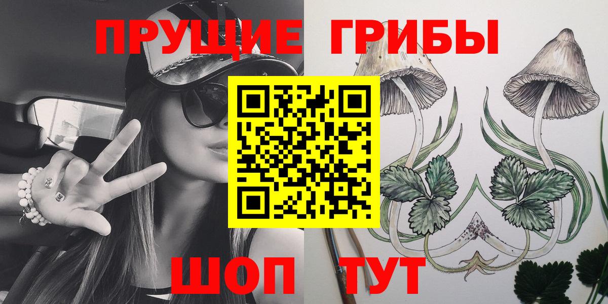 Псилоцибиновые грибы мухоморы  Вход с VPN  Кандалакша 